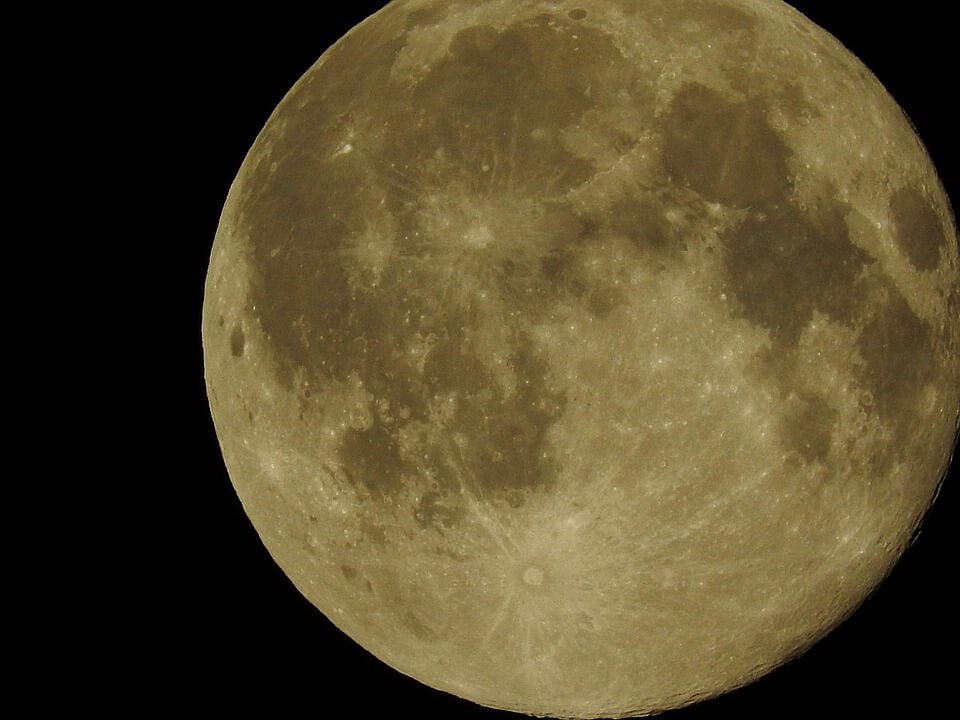 Lunar Wave Video FEVids
