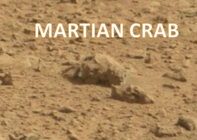 Crabs MARS NASA deception